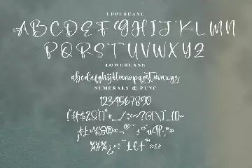 Richella Modern Signature Font