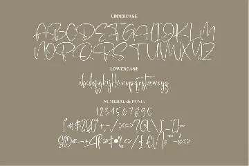 Retonderita Modern Siganture Font