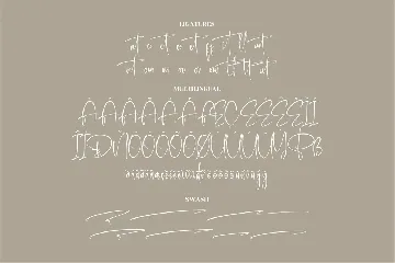 Retonderita Modern Siganture Font