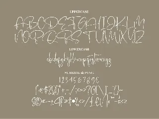 Retonderita Modern Siganture Font