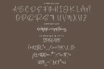 Ranteria Modern Signature Font