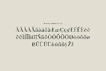 Birgine Modern Serif Font