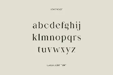 Birgine Modern Serif Font