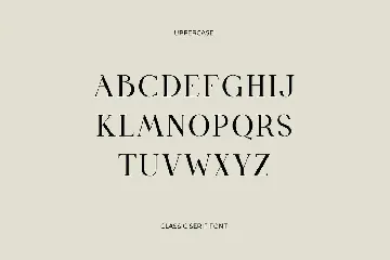 Birgine Modern Serif Font