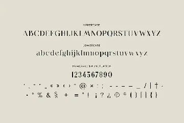 Birgine Modern Serif Font