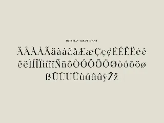 Birgine Modern Serif Font