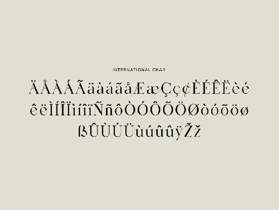 Birgine Modern Serif Font