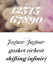 Jitzu Typefamily font