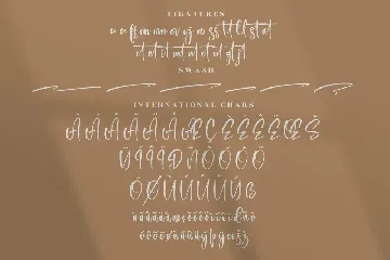 Registeria Modern Signature Font