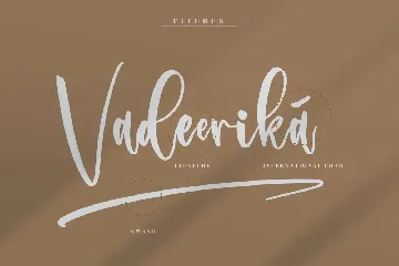 Registeria Modern Signature Font