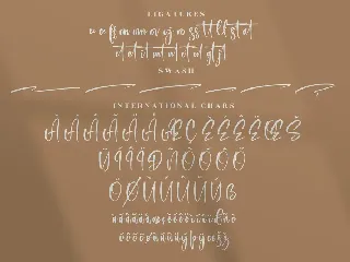 Registeria Modern Signature Font