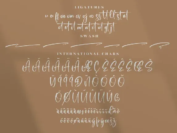 Registeria Modern Signature Font