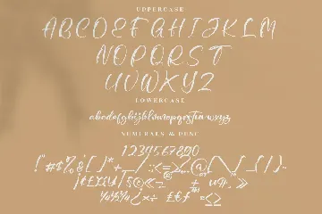 Pyttons Modern Signature Font