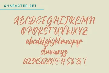 Rogue - Retro Script Typeface font