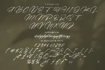 Hallison Modern Signature Font