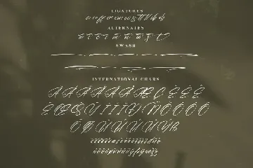 Hallison Modern Signature Font