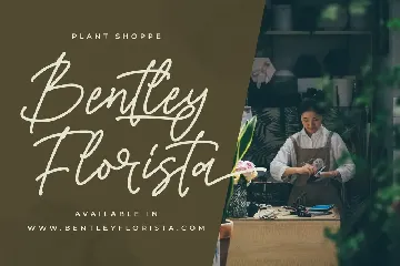 Barsdeya Monoline Signature Font