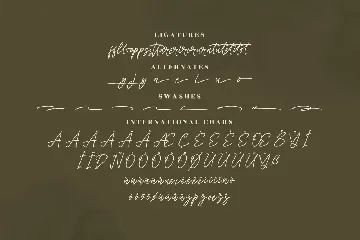 Barsdeya Monoline Signature Font