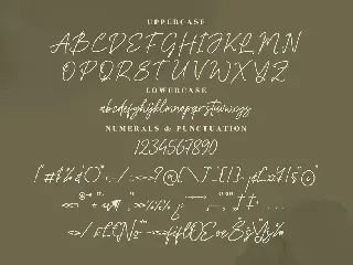 Barsdeya Monoline Signature Font