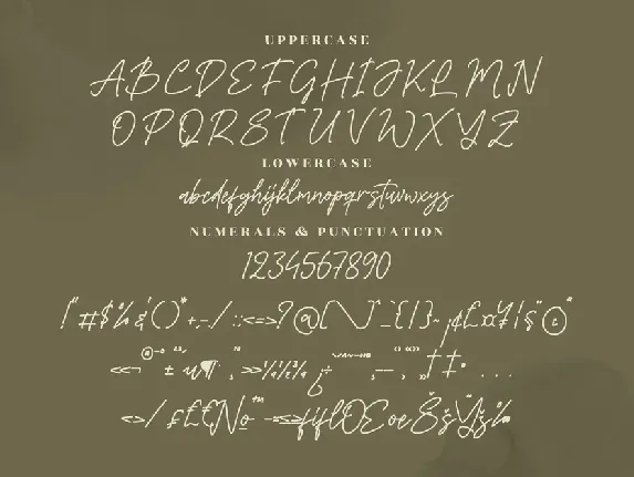 Barsdeya Monoline Signature Font