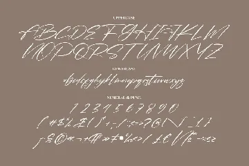 Pantherdam Signature Brush Font