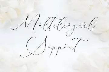 Charttisle wadfield Luxury Calligraphy Font