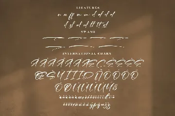 Pettrick Belinst Modern Signature Font