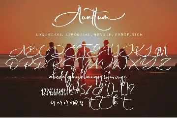 Aunttum font