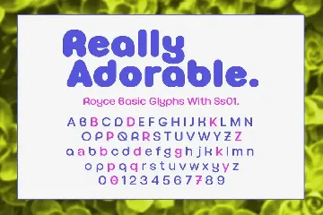 Royce Cute Font Family