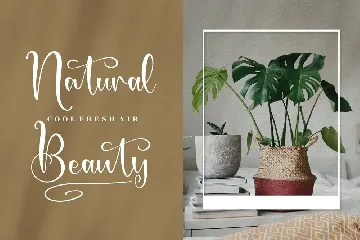 Monkista Beautiful Script Font