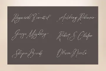 Vignette Signature Script font