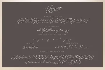 Vignette Signature Script font