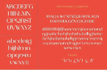 Cavas modern & elegant font