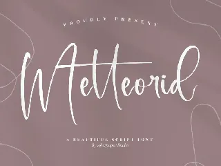 Metteorid Beautiful Script Font