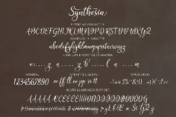 Synthesia Brush Script font