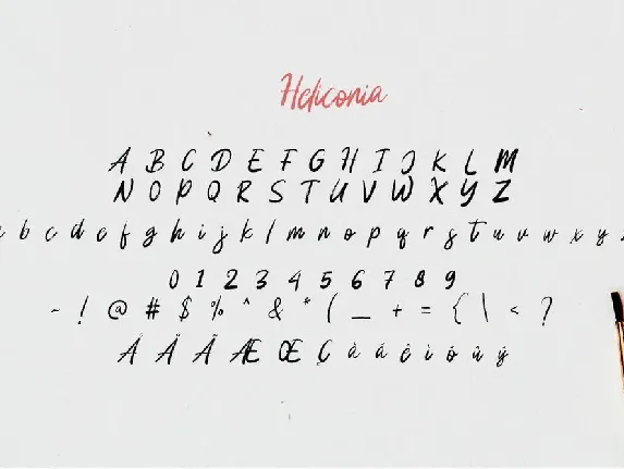 Heliconia font