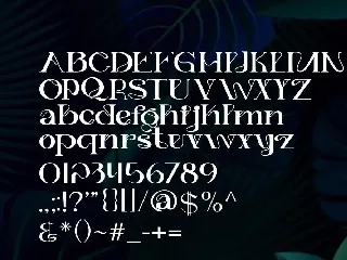 Mieraw - Elegant Font