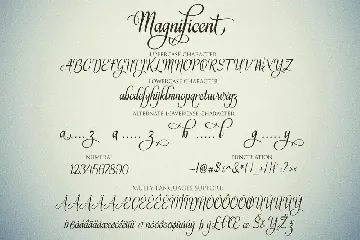 MAGNIFICENT Script font