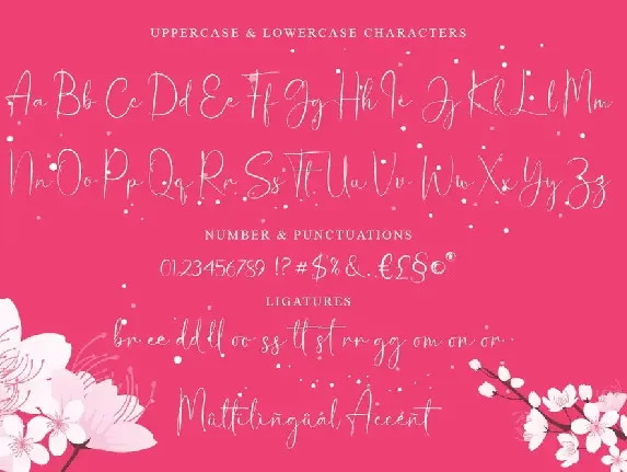 Helen Paris - Lovely Script font