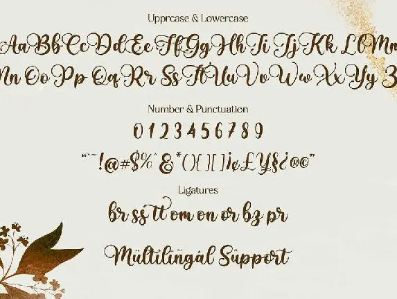 Babylone | Modern Calligraphy font