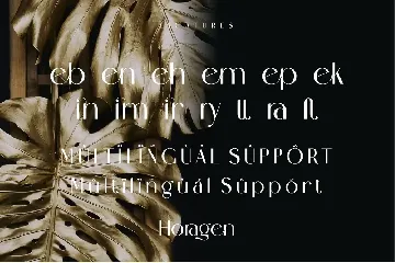 Horagen Modern Ligature Sans Serif font