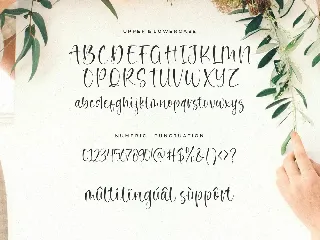 Noble Dream Script Font