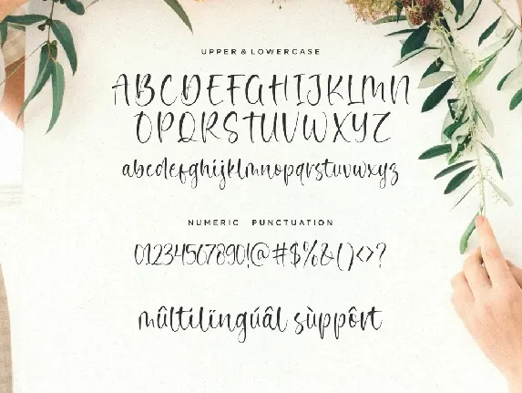 Noble Dream Script Font