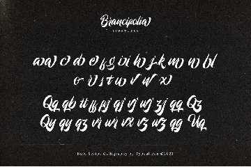 Brancifolia font