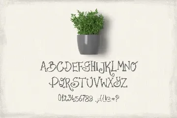 Parsley Font