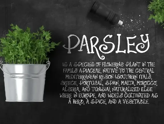 Parsley Font