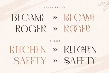 Roomy - Modern Display Font Duo