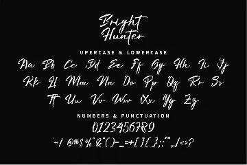 Bright Hunter font