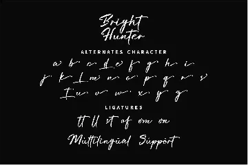 Bright Hunter font