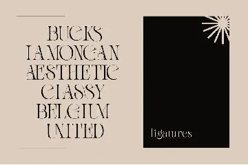 Fashion Wacks - Logo font